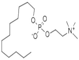 Fos-维生素B-12,Fos-choline-12