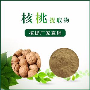 核桃提取物,Walnut extract
