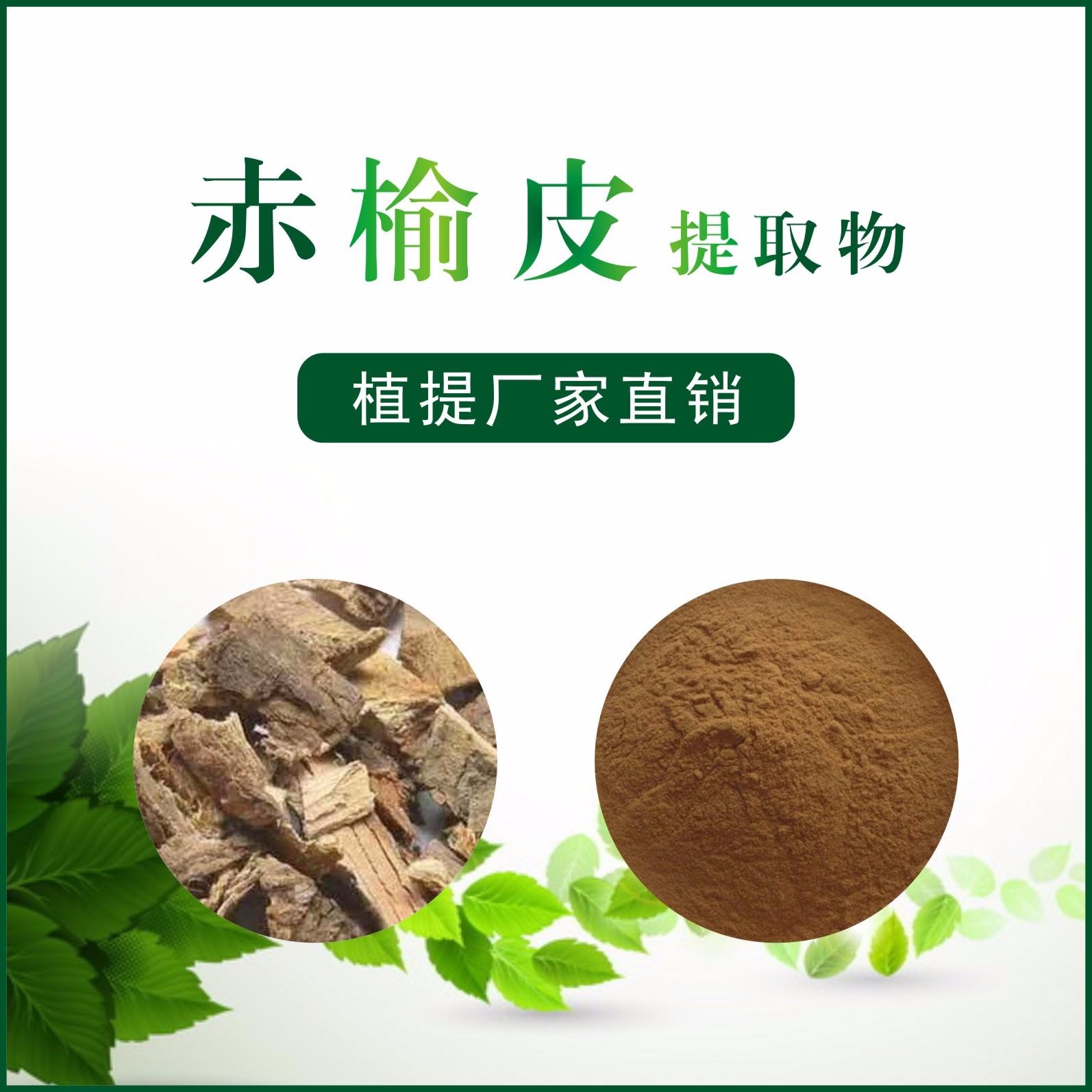 赤榆皮提取物,Ulmus pumila extract