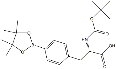 Boc-4-pinicalborane-L-phenylalanine