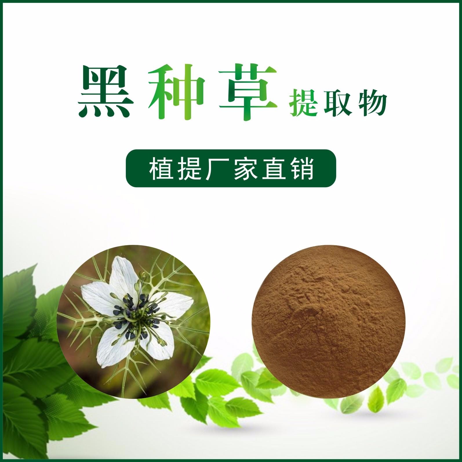 黑种草提取物,Nigella damascena