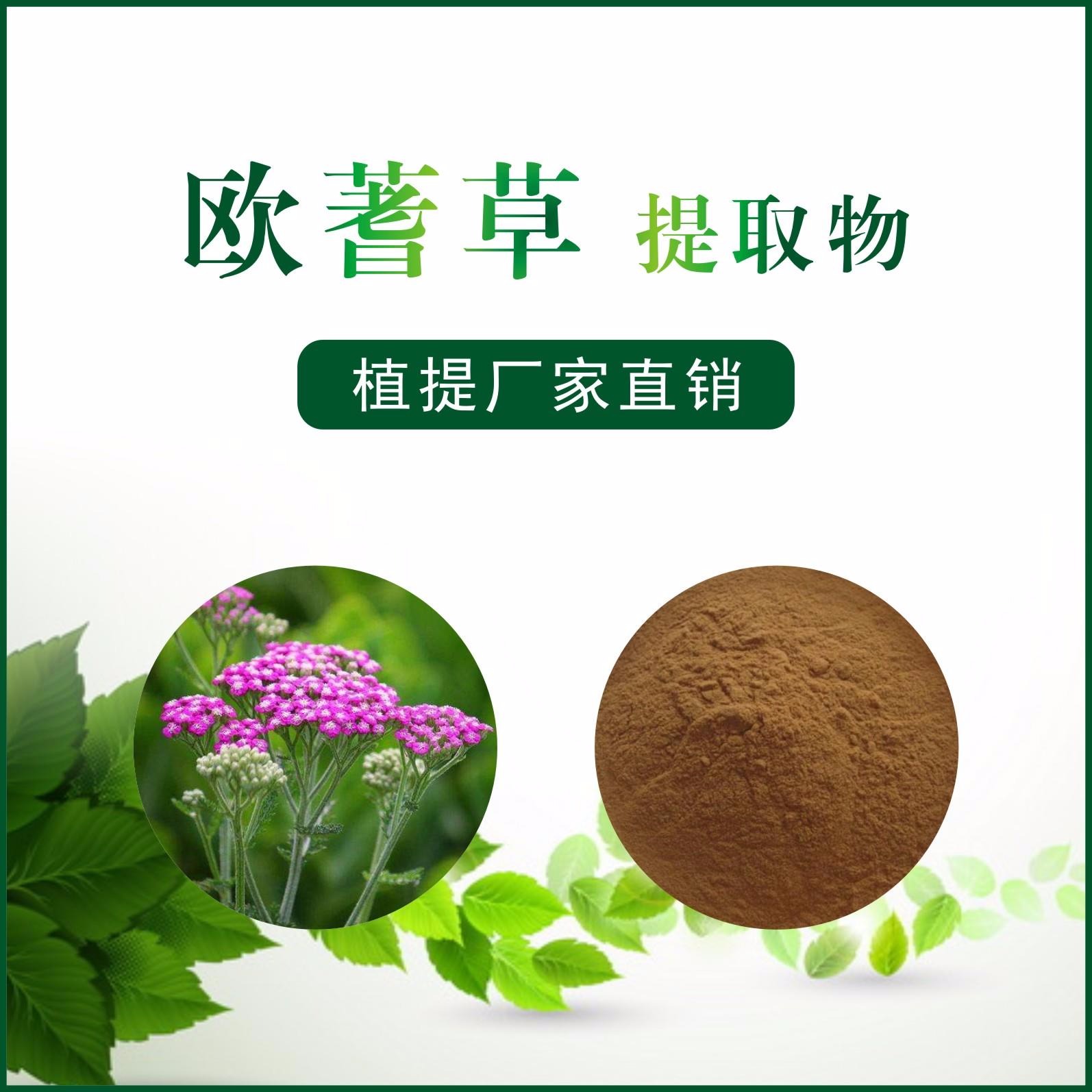 欧蓍草提取物,yarrow extract