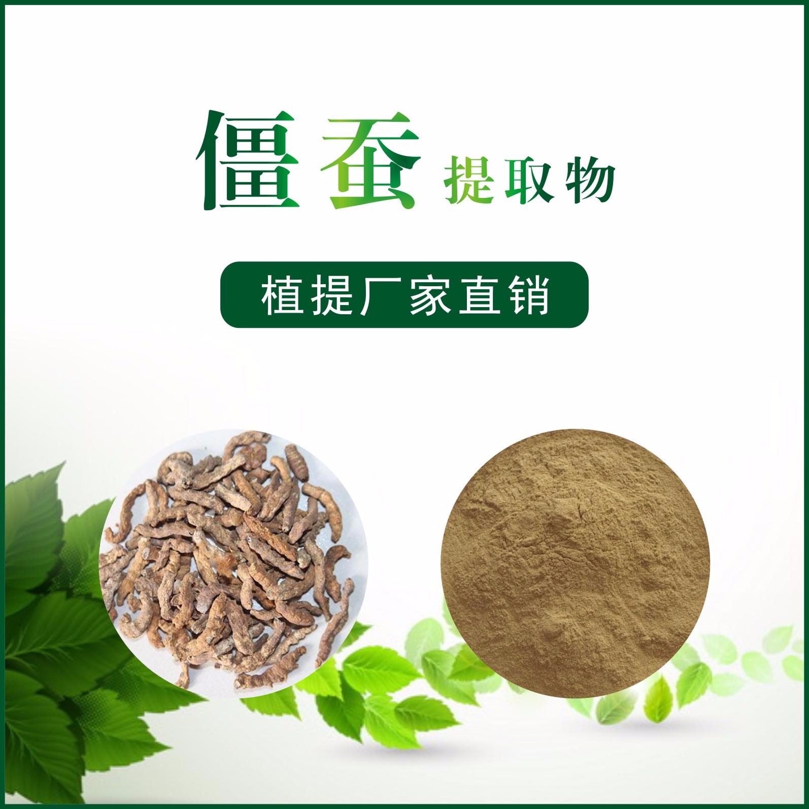 僵蚕提取物,Bombyx Batryticatus extract