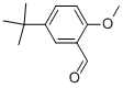 5-叔丁基-2-甲氧基苯甲醛,5-(TERT-BUTYL)-2-METHOXYBENZENECARBALDEHYDE