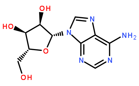 腺苷,Adenosine