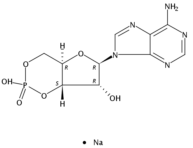 环磷酸腺苷钠盐,CAMP