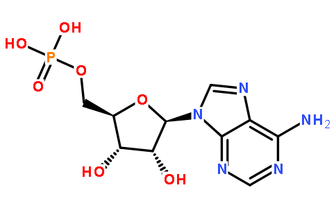 5′-腺苷一磷酸,5'-AMP