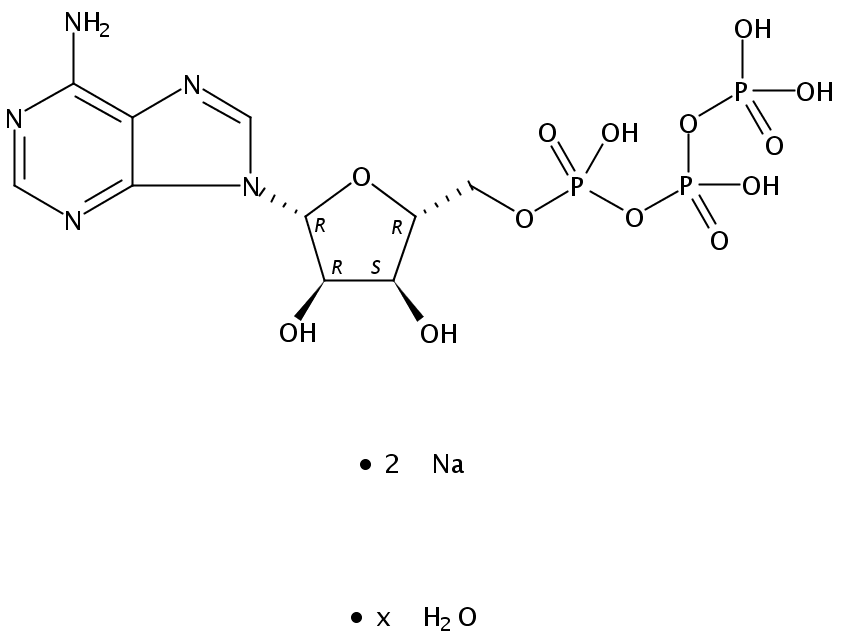 5-腺苷三磷酸二鈉鹽水合物,ATP disodium salthydrate