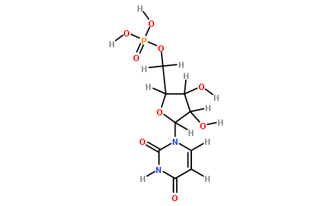 5-尿苷一磷酸,5′-UMP