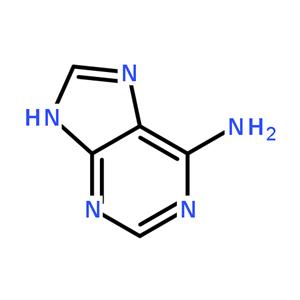 腺嘌呤,6-Aminopurine