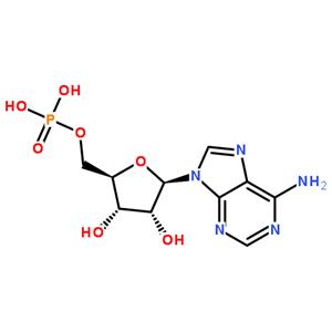 5′-腺苷一磷酸,5