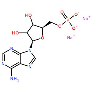 5-腺苷一磷酸二钠盐,5