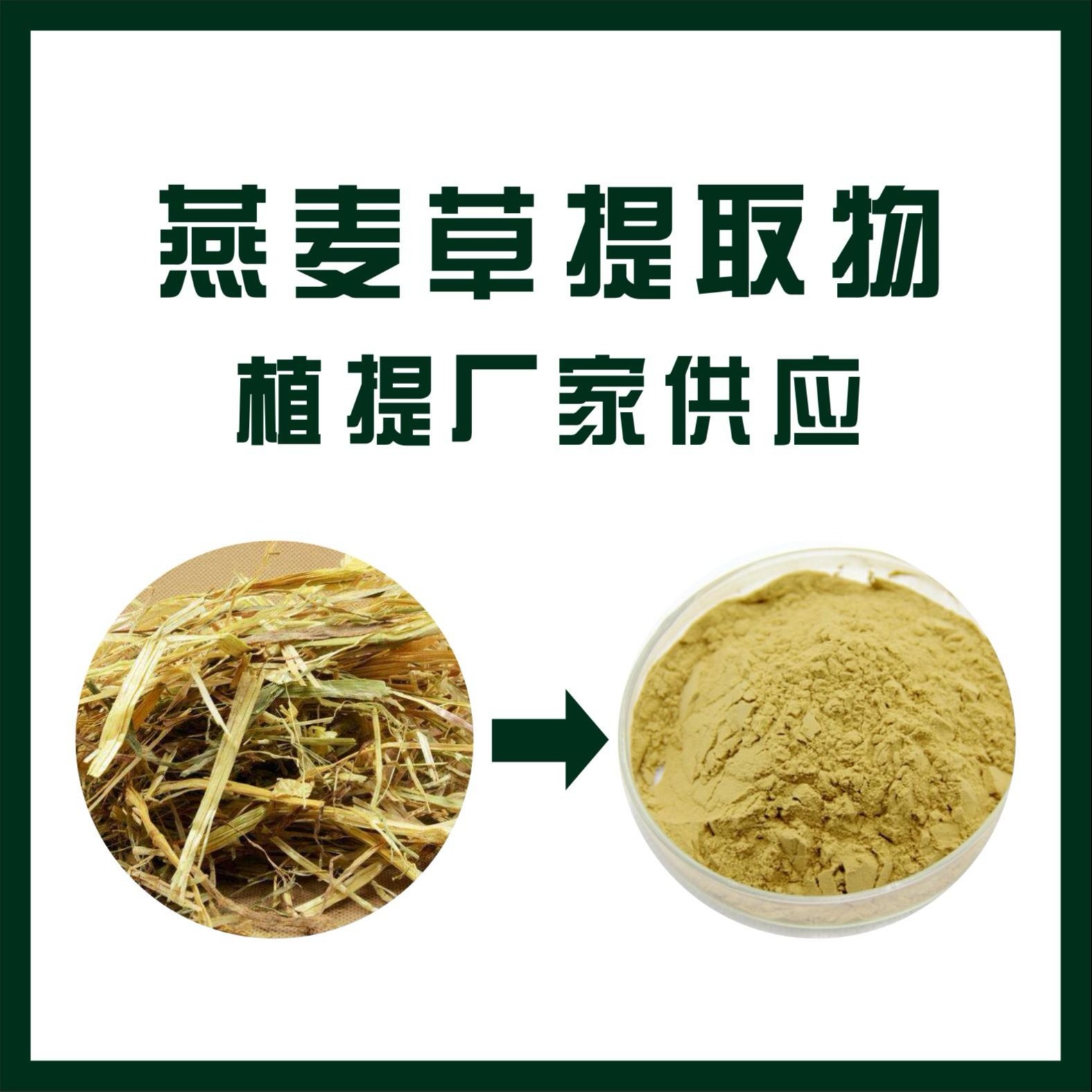 燕麦草提取物,Oat Extract