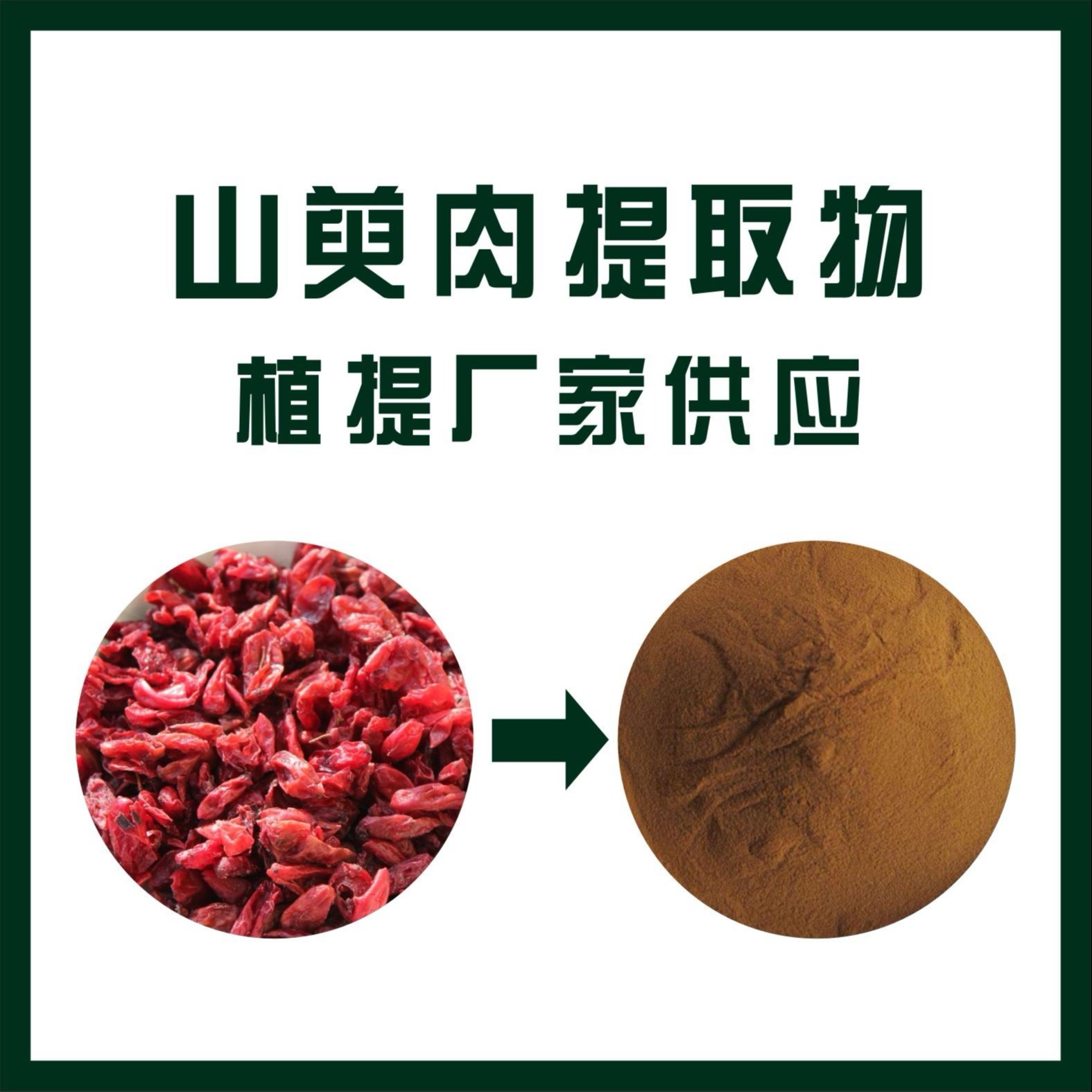 山萸肉提取物,Cornel extract