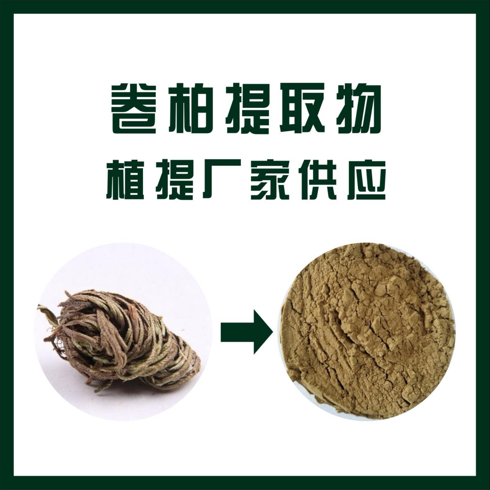 卷柏提取物,Selaginellae Herba。