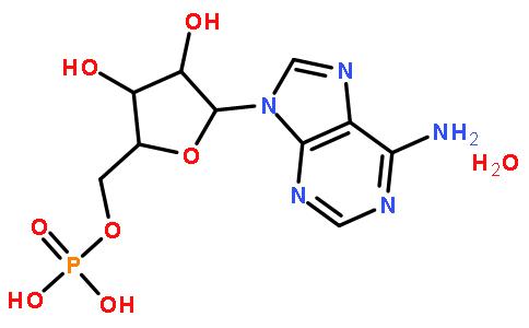 5′-腺苷一磷酸一水物,Adenosine 5'-monophosphate monohydrat