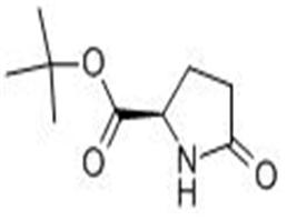 D-焦谷氨酸叔丁酯,tert-butyl 5-oxo-D-prolinate