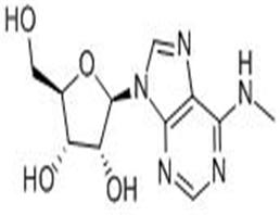 N6-甲基腺苷,N6-methyladenosine
