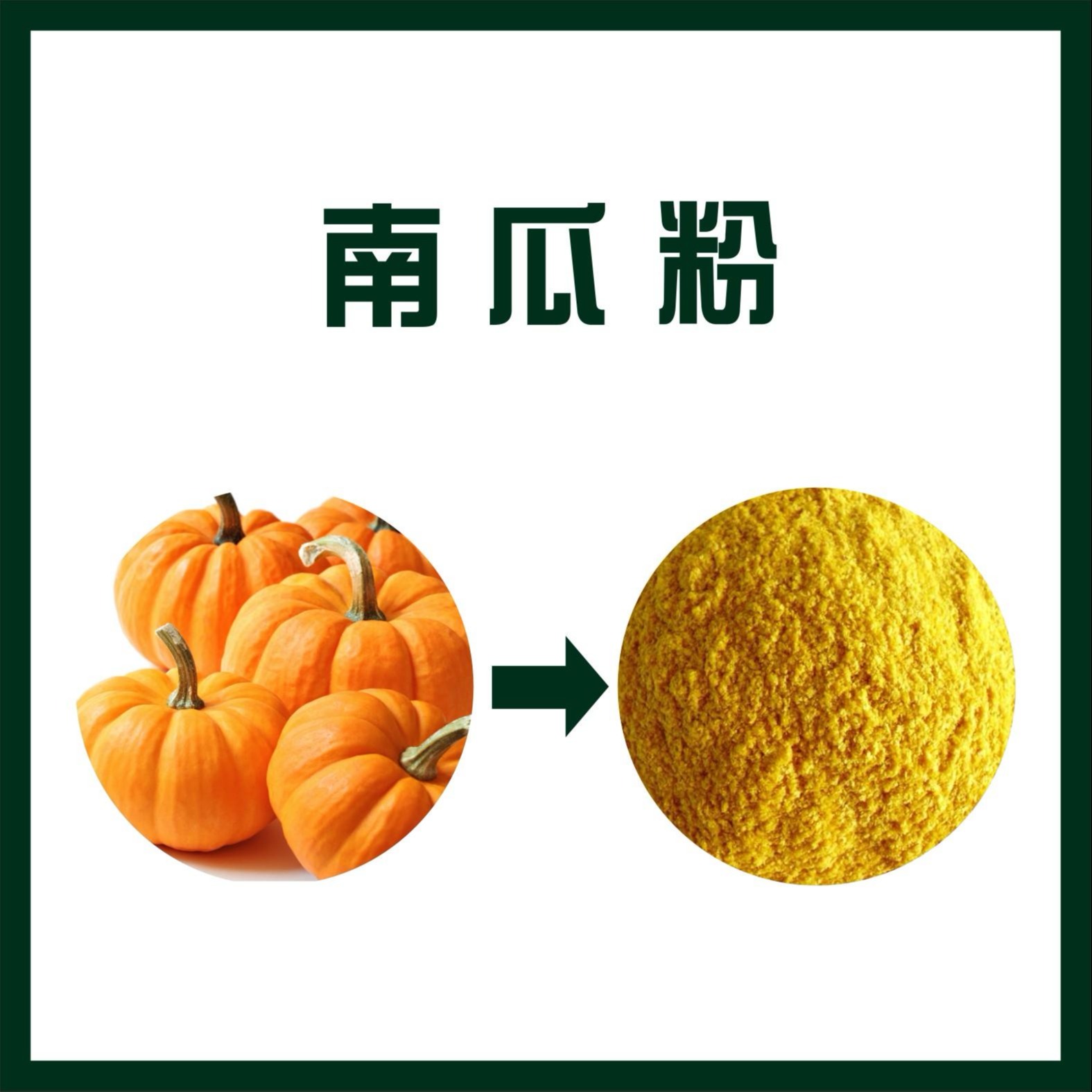 南瓜粉,Pumpkin powder