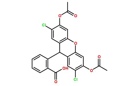 2',7'-二氯荧光素二乙酸酯,2′,7′-Dichlorofluorescin diacetate