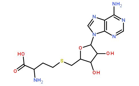 S-腺苷高半胱氨酸,SAH