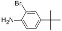 2-溴-4-叔丁基苯胺,2-BROMO-4-TERT-BUTYLANILINE
