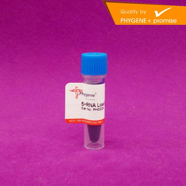 5×RNA上樣緩沖液,5×RNA Loading Buffer