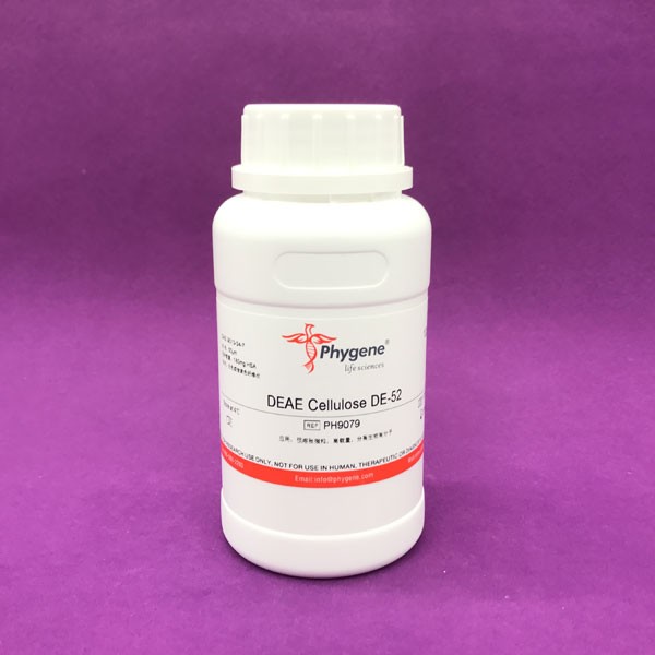 纤维素 DE-52,DEAE Cellulose