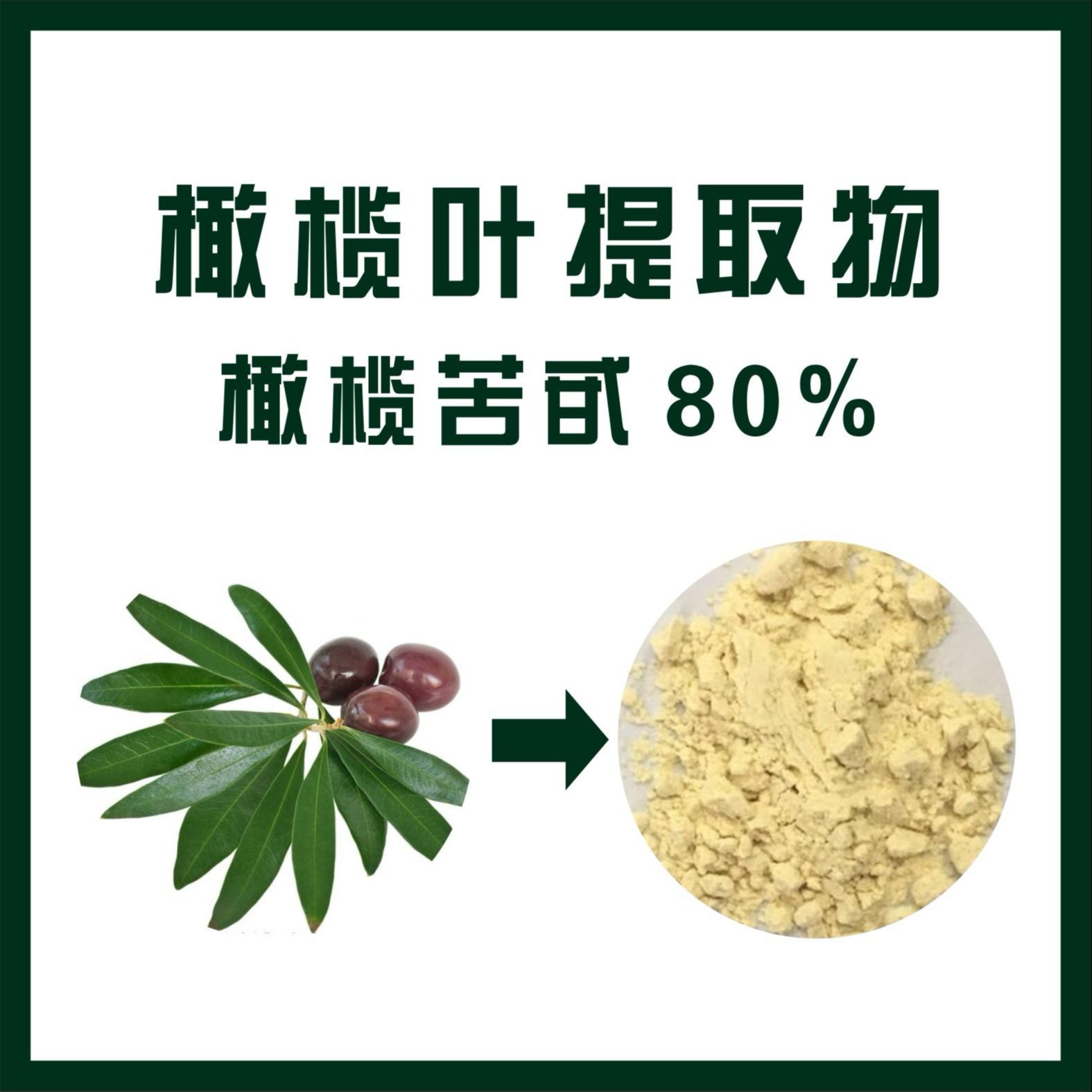 橄榄叶提取物,Olive Leaf Extract