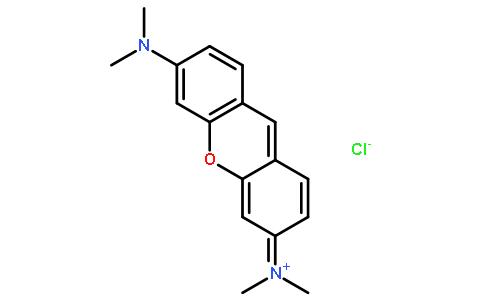 派洛寧Y,Pyronin Y