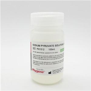 丙酮酸钠溶液,Sodium Pyruvate Solution