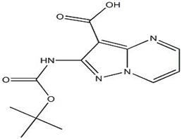 2-(tert-butoxycarbonylamino)pyrazolo[1,5-a]pyrimidine-3-carboxylic acid