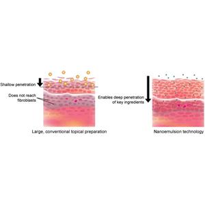 视黄醇丙酸酯,RETINYL PROPIONATE