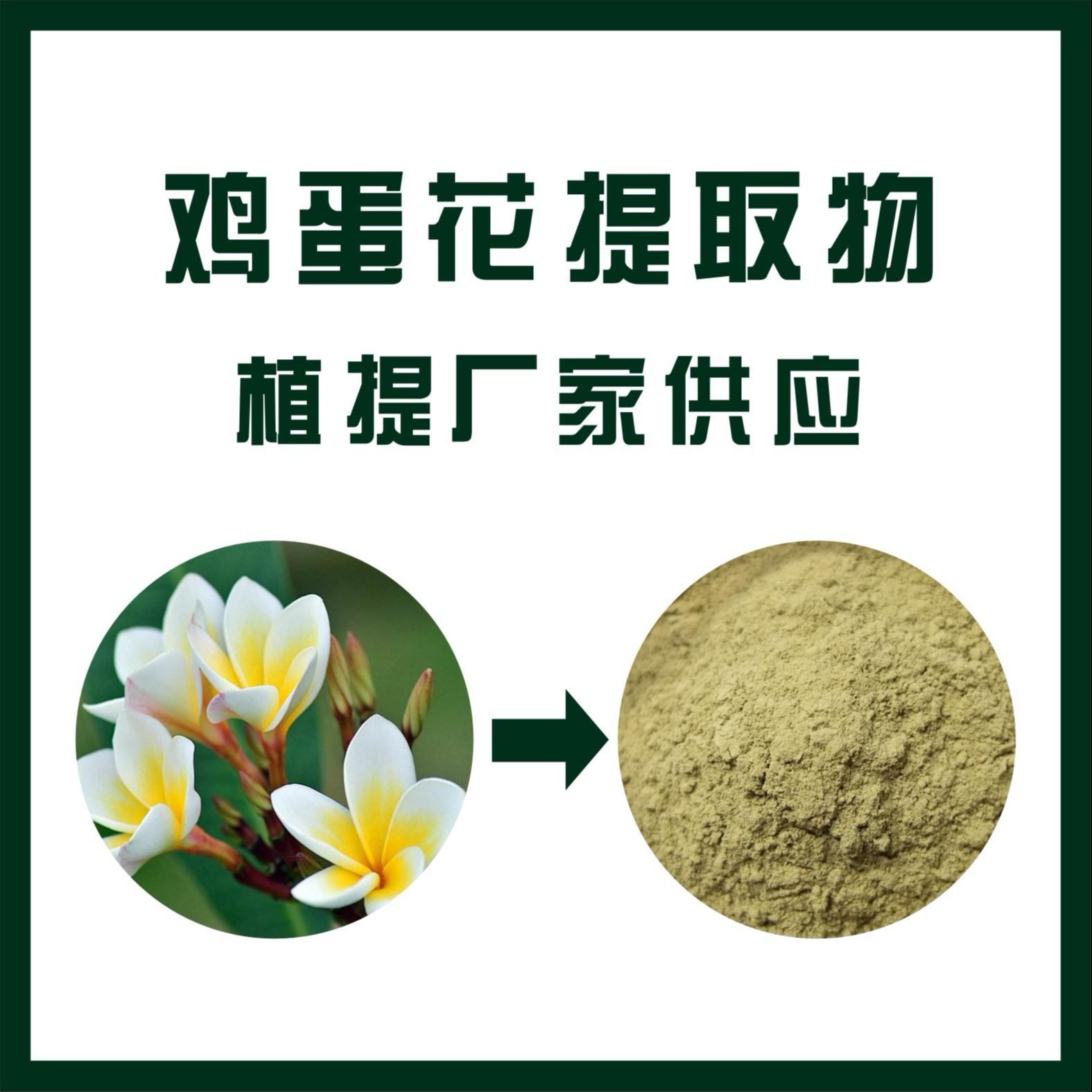 鸡蛋花提取物,Flos Plumeriae