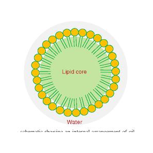 纳米包裹视黄醛；水溶性纳米脂质体视黄醛；视黄醛脂质体；维生素A脂质体,Nano Liposomal RAL