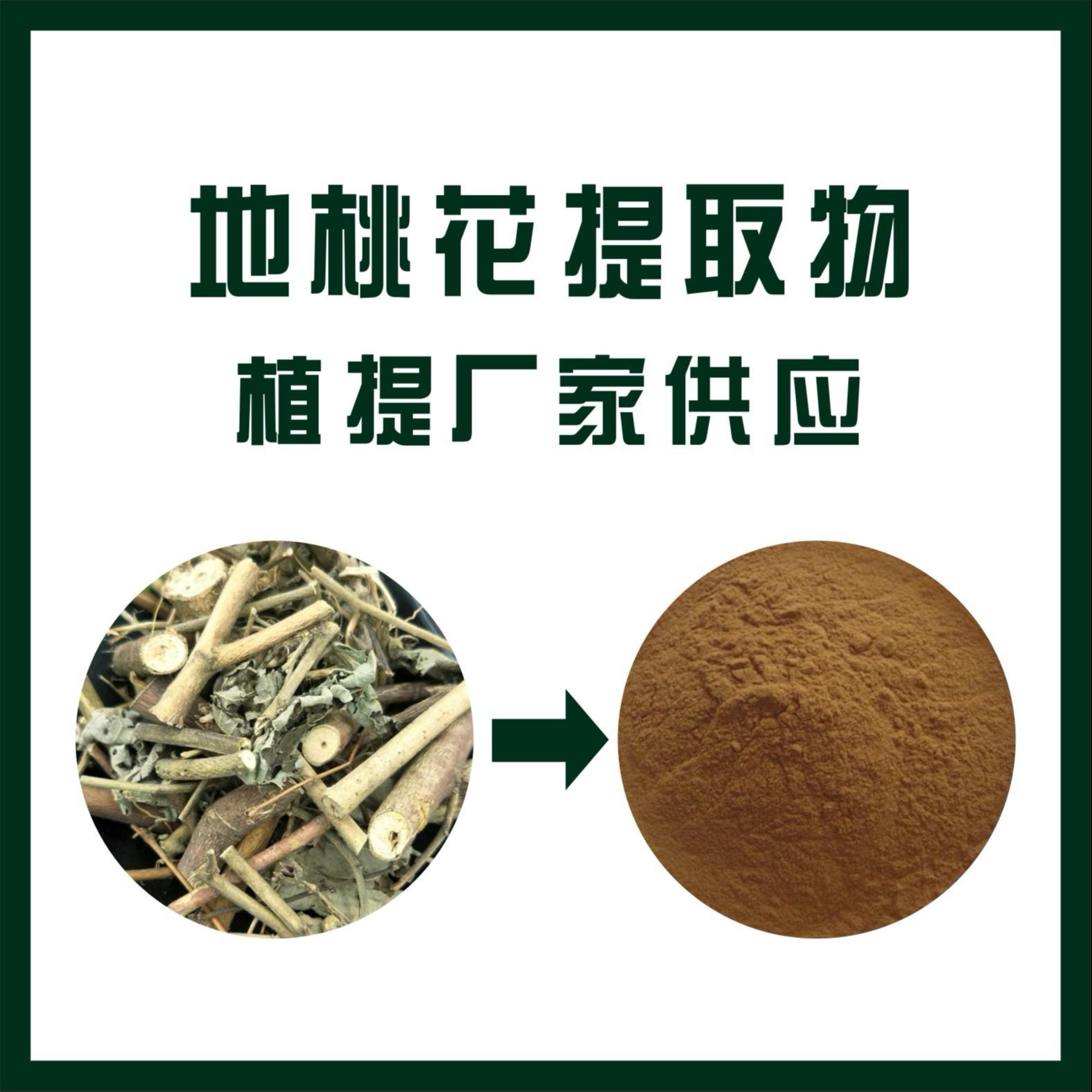 地桃花提取物,Herba Urenae Lobatae。