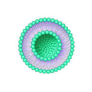 纳米包裹神经酰胺化妆品原料-浦瑞生物，神经酰胺纳米脂质体,Nanoactive?Ceramide;Nanoliposomal Ceramide