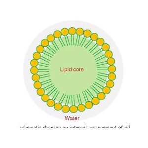 纳米包裹神经酰胺化妆品原料-浦瑞生物，神经酰胺纳米脂质体,Nanoactive?Ceramide;Nanoliposomal Ceramide