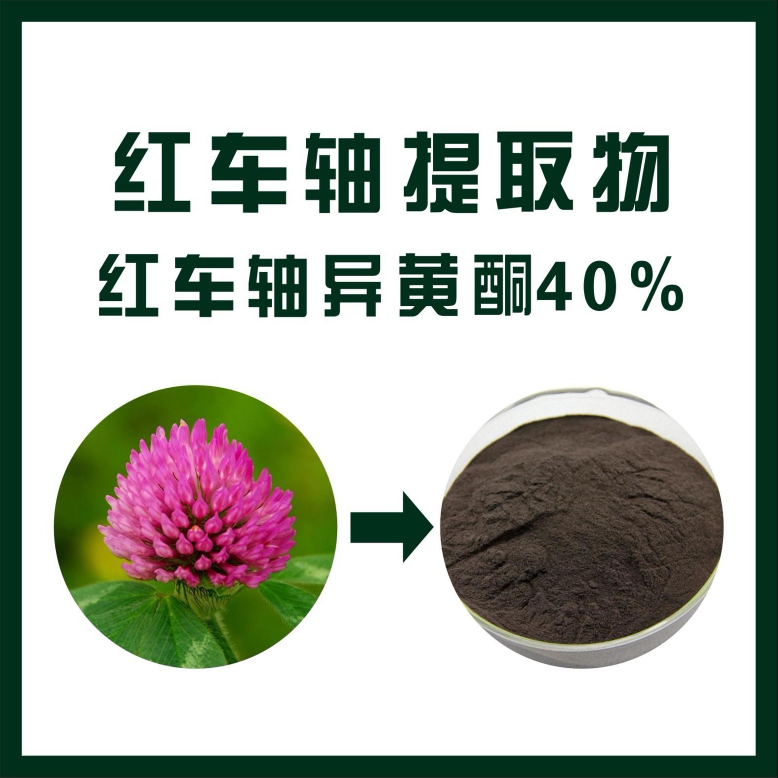 紅車軸異黃酮,Red Clover Extract