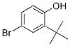 2-叔丁基-4-溴苯酚,4-BROMO-2-TERT-BUTYLPHENOL