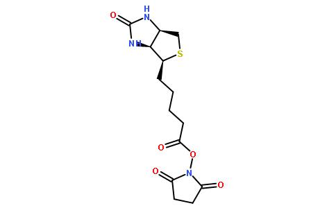 N-羟基琥珀酰亚胺生物素,BNHS