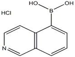 5-异喹啉硼酸