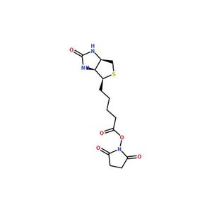 N-羟基琥珀酰亚胺生物素,BNHS