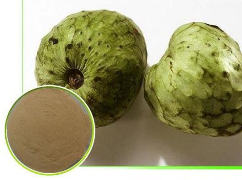刺果番梨提取物,Prickly pear extract
