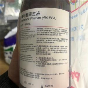 4%多聚甲醛固定,4% Paraformaldehyde Fix Solution