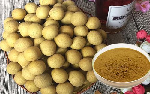 桂圆提取物,Longan Extract Powder