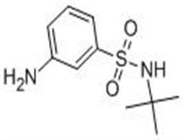 3-氨基-N-(1,1-二甲基乙基)苯磺酰胺