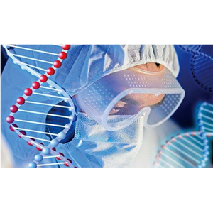 2× Robust SYBR Green qPCR ProMix With Low RO