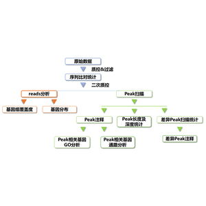 ATAC-seq