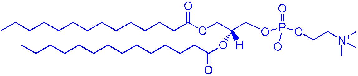 1,2-二肉豆蔻酰-sn-甘油-3-磷酸胆碱,1,2-dimyristoyl-sn-glycero-3-phosphocholine